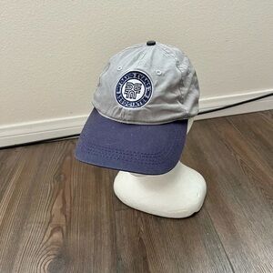 Gray and Blue Baseball Cap